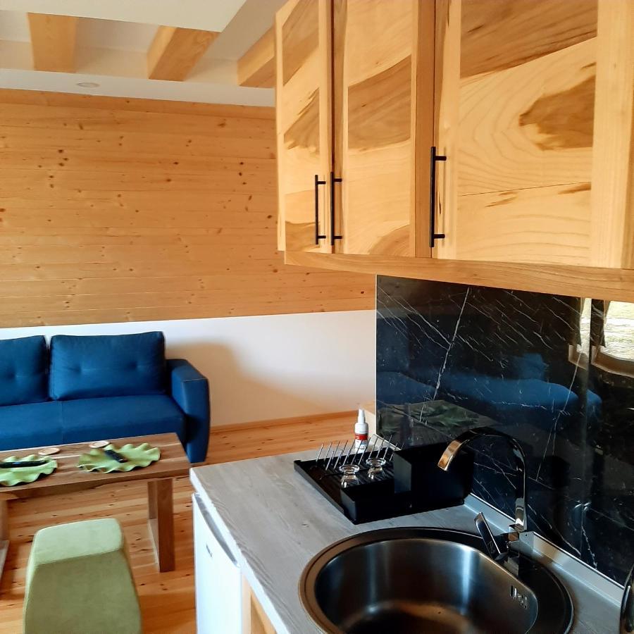 Holiday Home Ella Mokra Gora - Apartman Ella Bagian luar foto